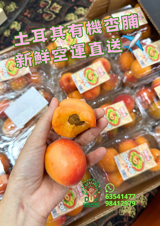 🇹🇷土耳其有機杏脯🧡350g Türkiye Organic Apricot 🌟季節限定🌟空運到港