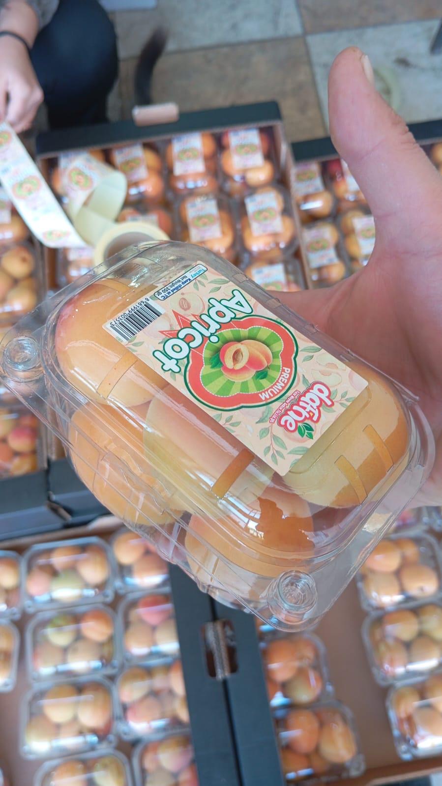 🇹🇷土耳其有機杏脯🧡350g Türkiye Organic Apricot 🌟季節限定🌟空運到港 🇹🇷土耳其有機杏脯🧡350g Türkiye Organic Apricot 🌟季節限定🌟空運到港