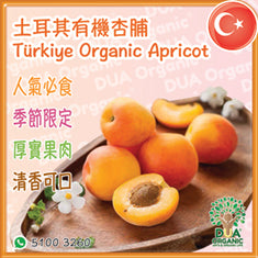 🇹🇷土耳其有機杏脯🧡350g Türkiye Organic Apricot 🌟季節限定🌟空運到港