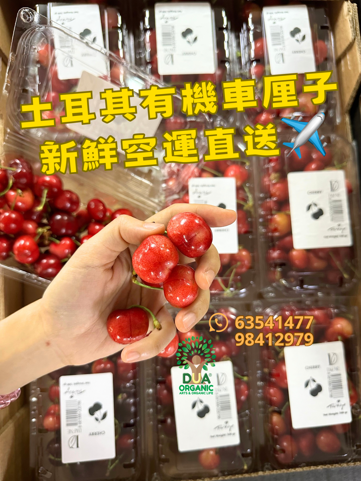 土耳其有機車厘子 500g🍒Türkiye Organic Cherry✨空運到港✨季節限定 土耳其有機車厘子 500g🍒Türkiye Organic Cherry✨空運到港✨季節限定