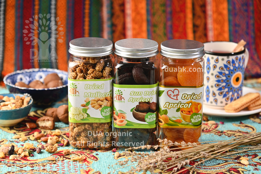 Turkish Organic Dried Mulberry 250g 土耳其有機天然風乾白桑子