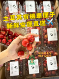 土耳其有機車厘子 500g🍒Türkiye Organic Cherry✨空運到港✨季節限定