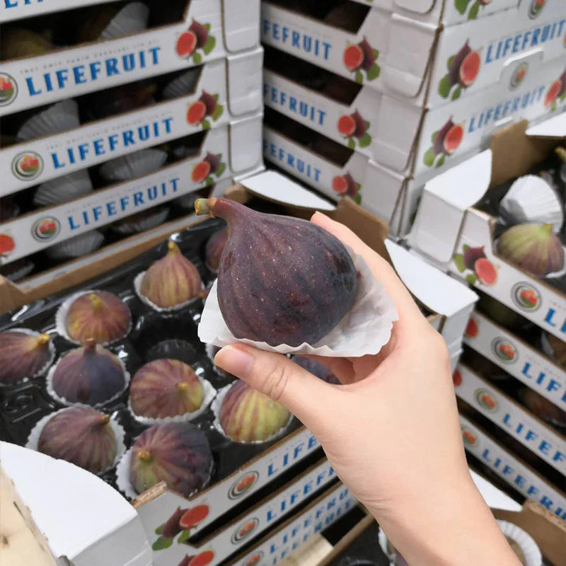 Türkiye Fresh Fig 土耳其新鮮有機無花果✨空運到港✨季節限定16pcs/1.5kg